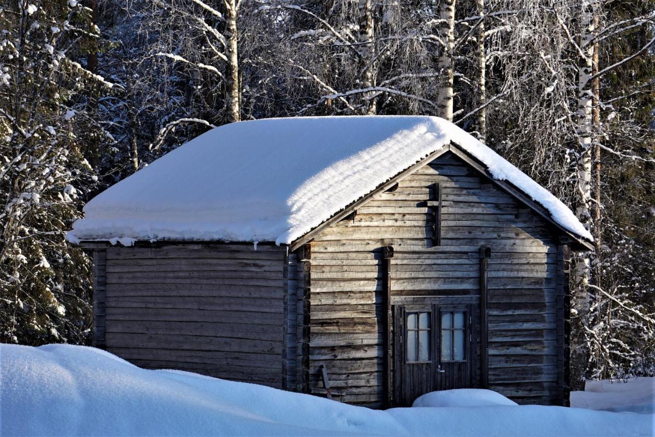 Resort Old Pine Husky