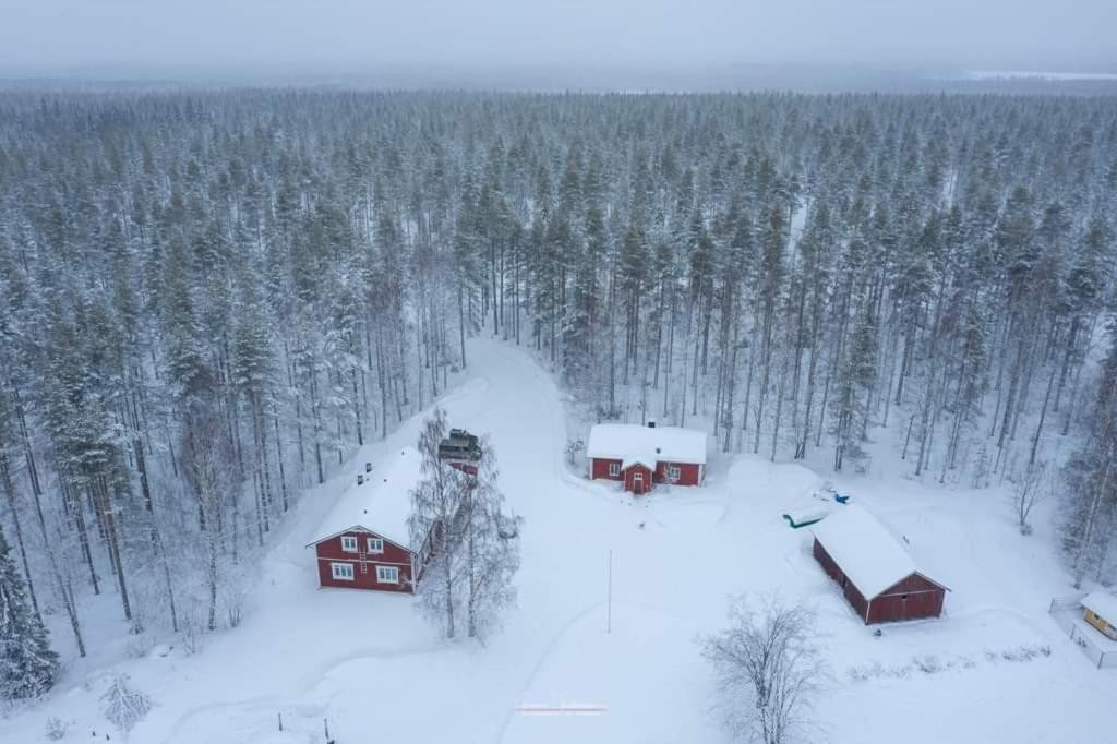 Old Pine Husky Resort *
