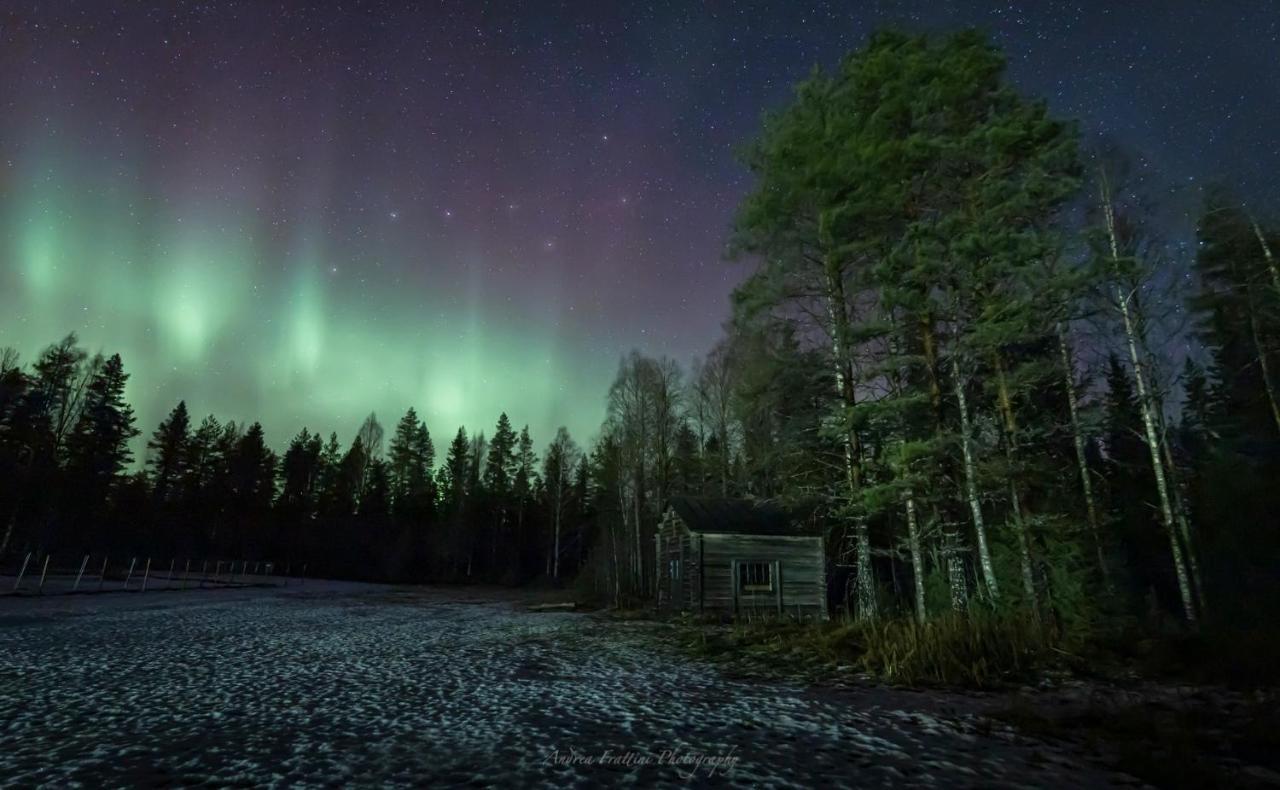 Old Pine Husky Resort *