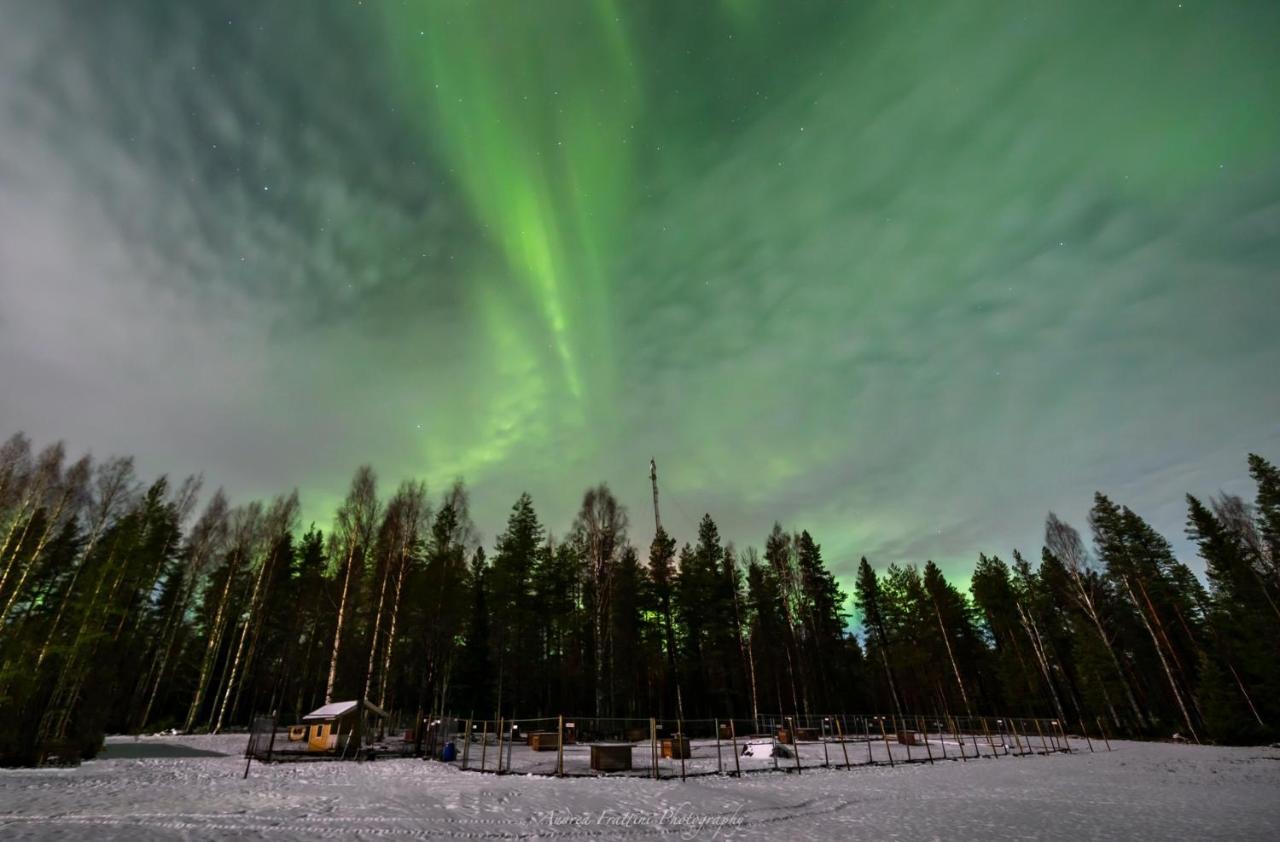 Resort Old Pine Husky Sompujarvi