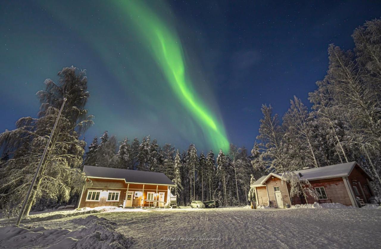 Resort Old Pine Husky