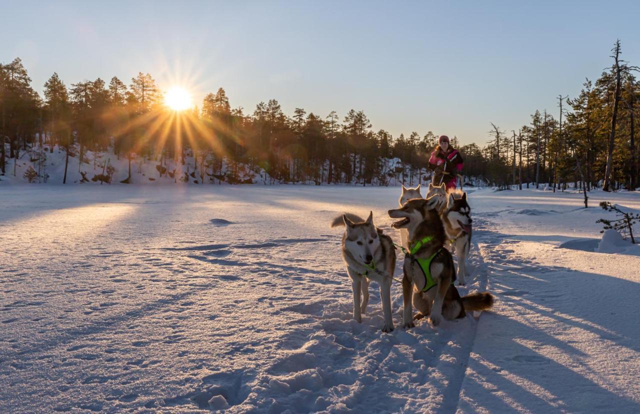 Resort Old Pine Husky