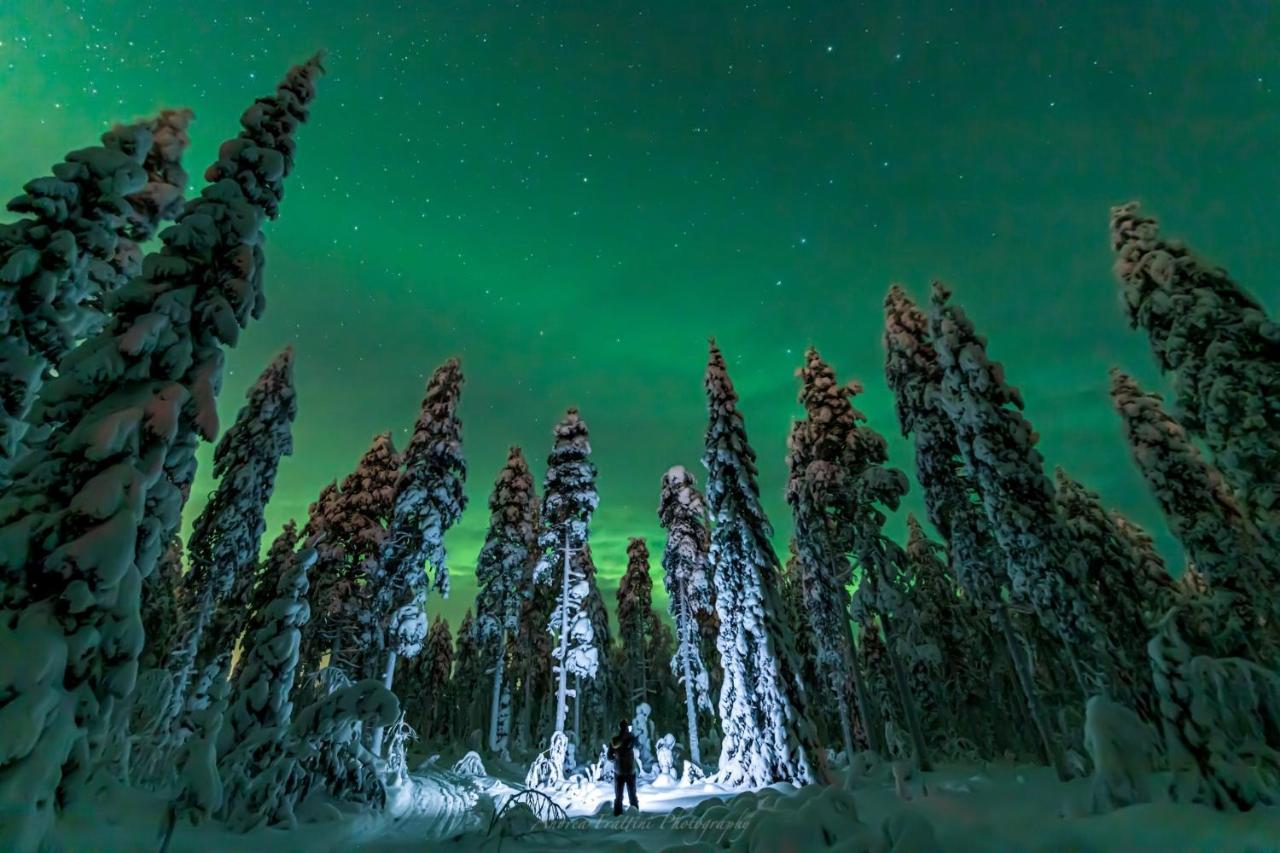 Resort Old Pine Husky Sompujarvi