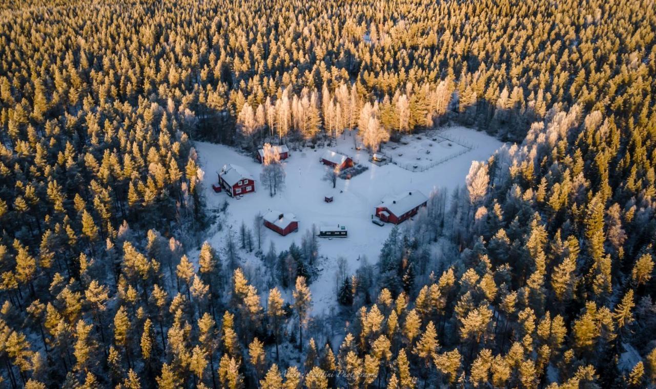 Resort Old Pine Husky Sompujarvi