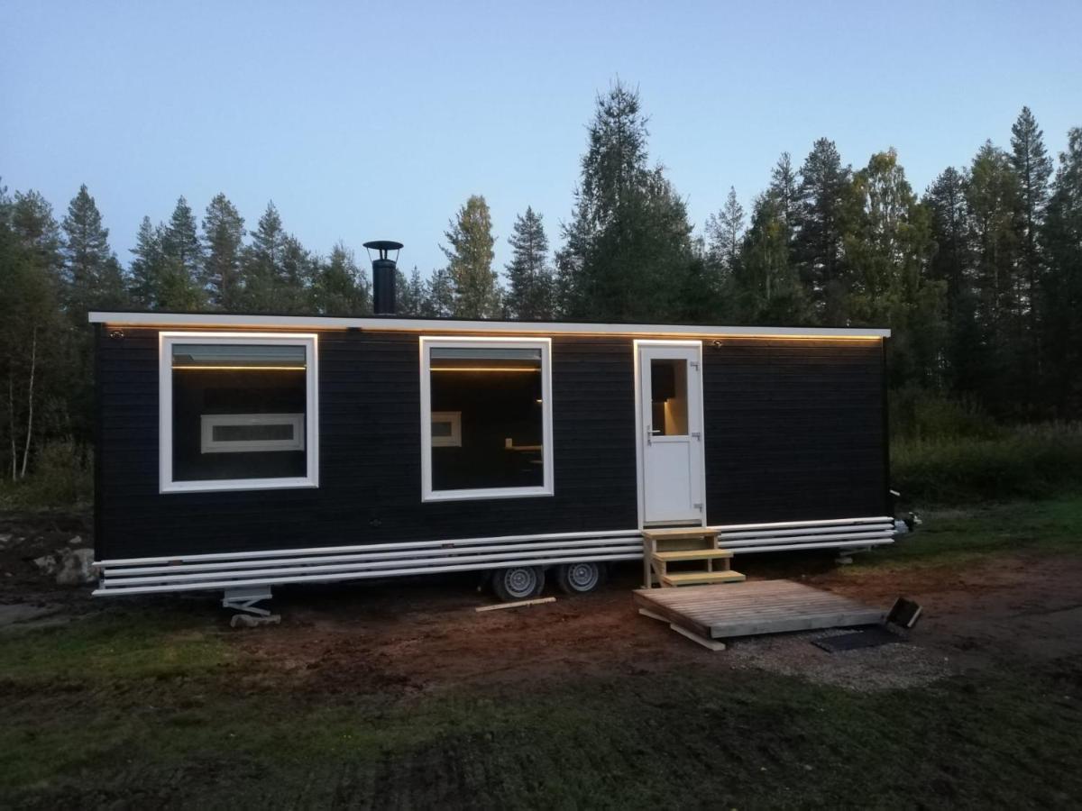 Resort Old Pine Husky