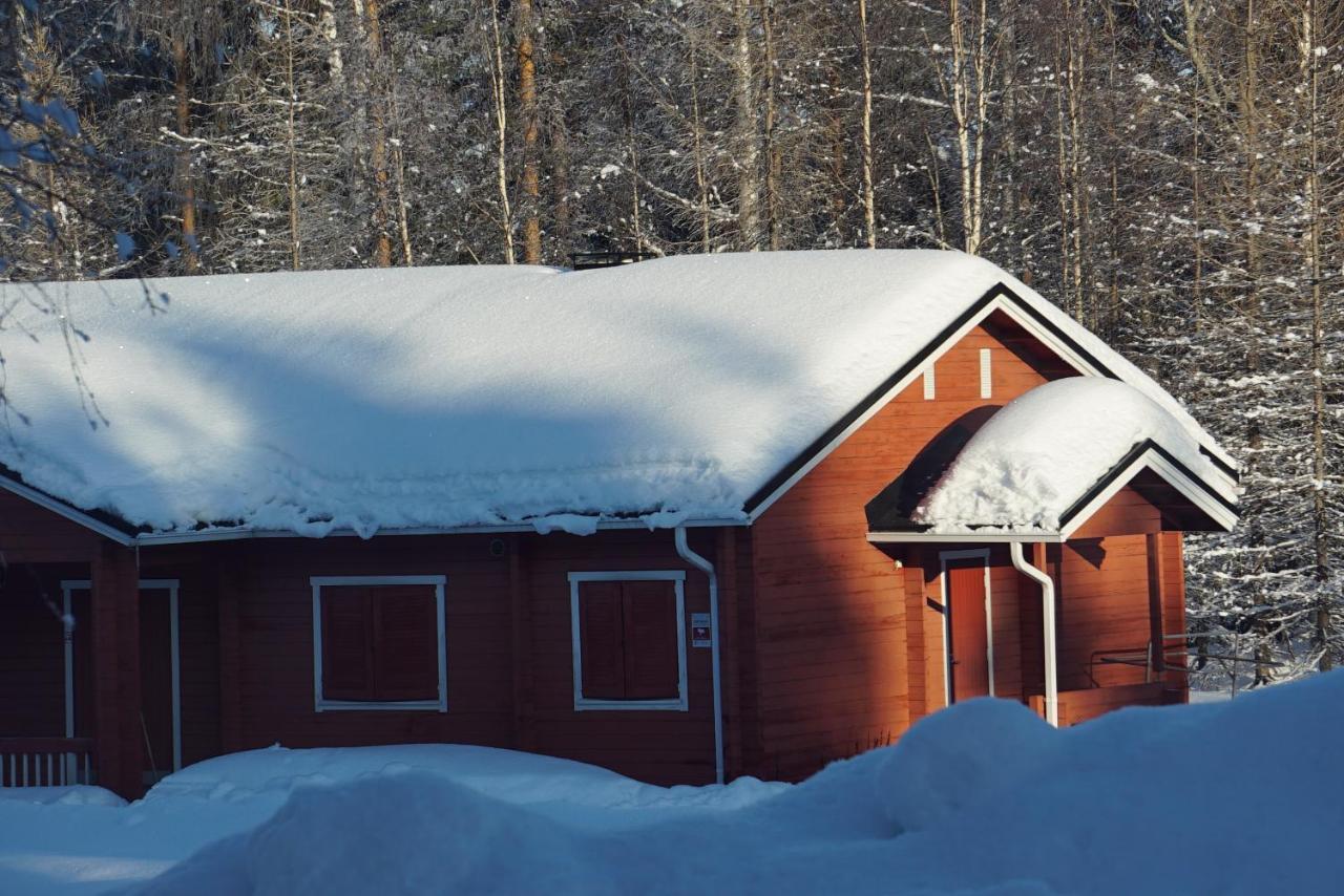 Old Pine Husky Resort