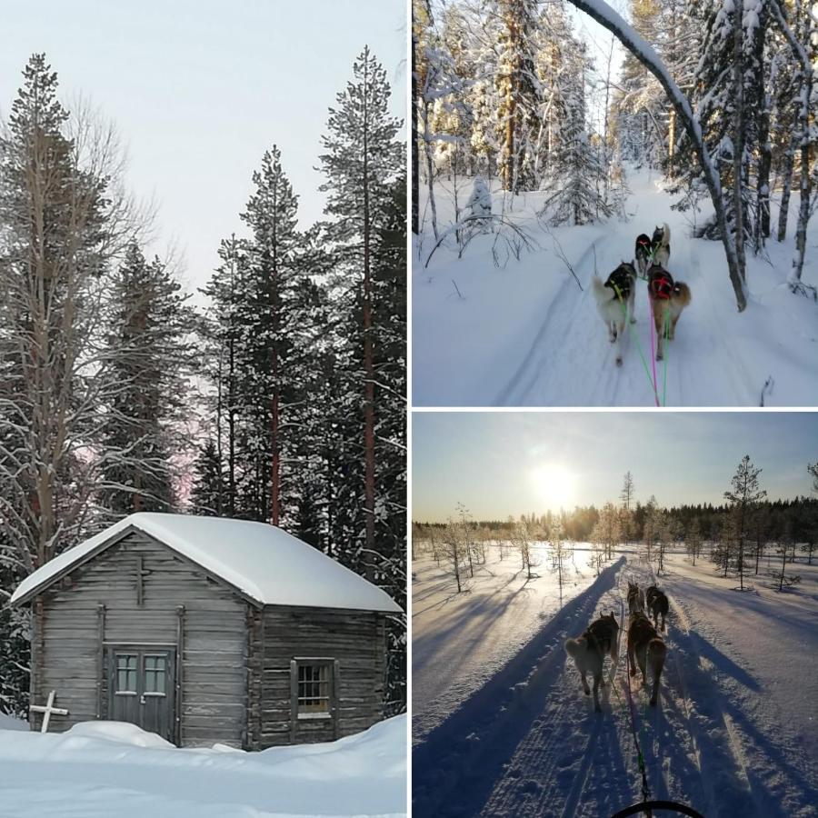 Old Pine Husky Resort *