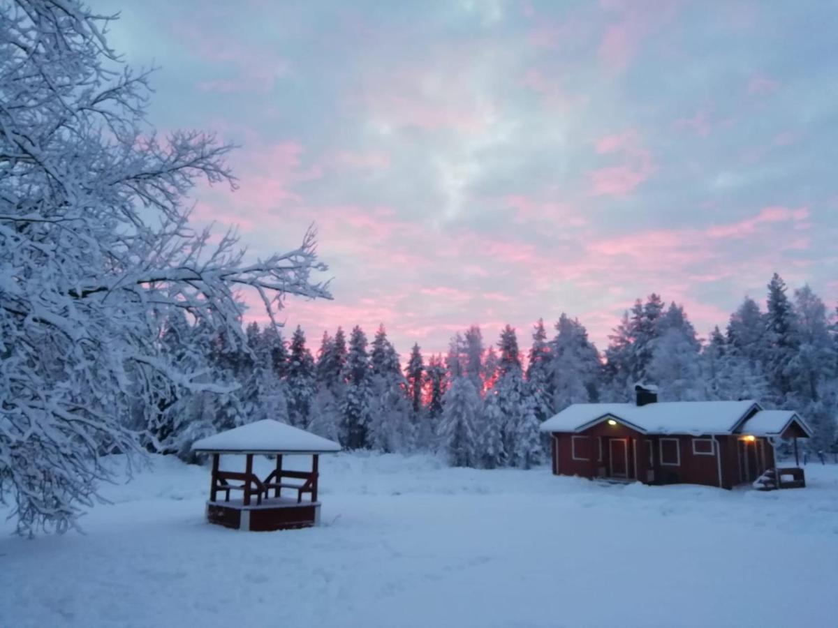 Old Pine Husky Resort