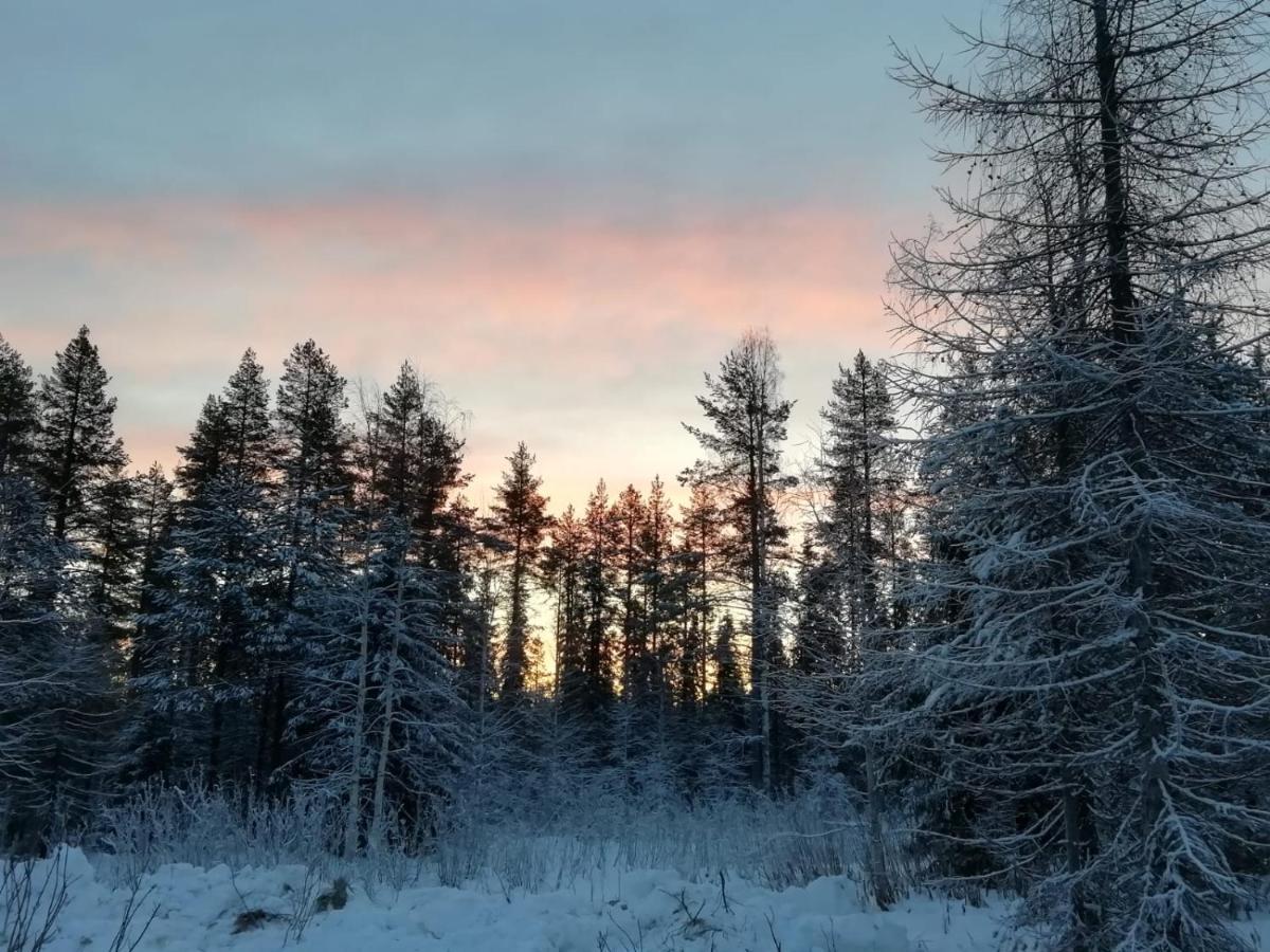 Old Pine Husky Resort Sompujarvi