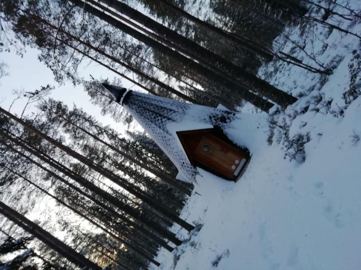 Old Pine Husky Resort *