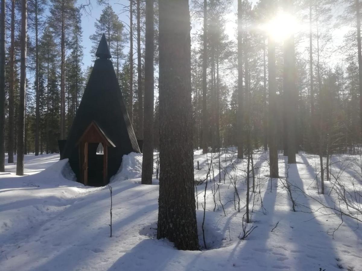 Resort Old Pine Husky *