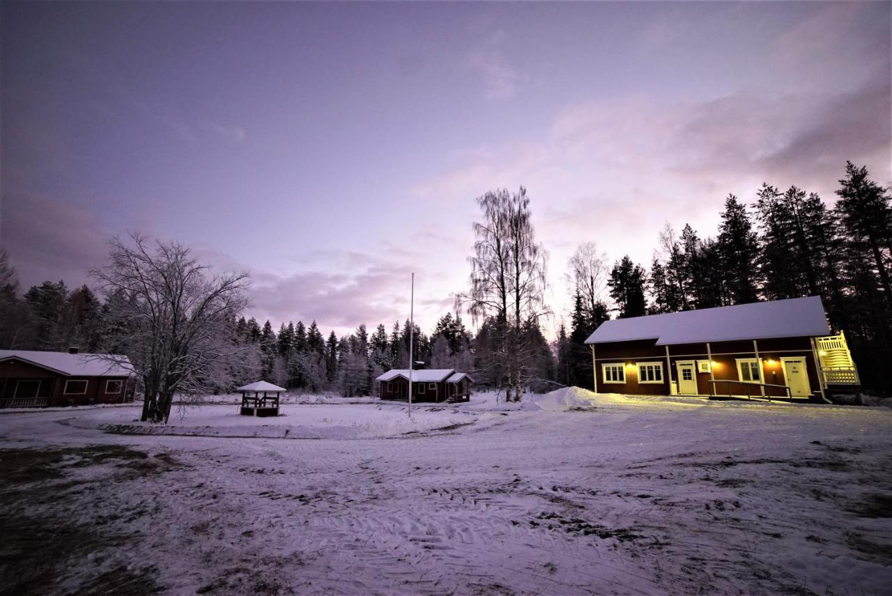 Old Pine Husky Sompujarvi